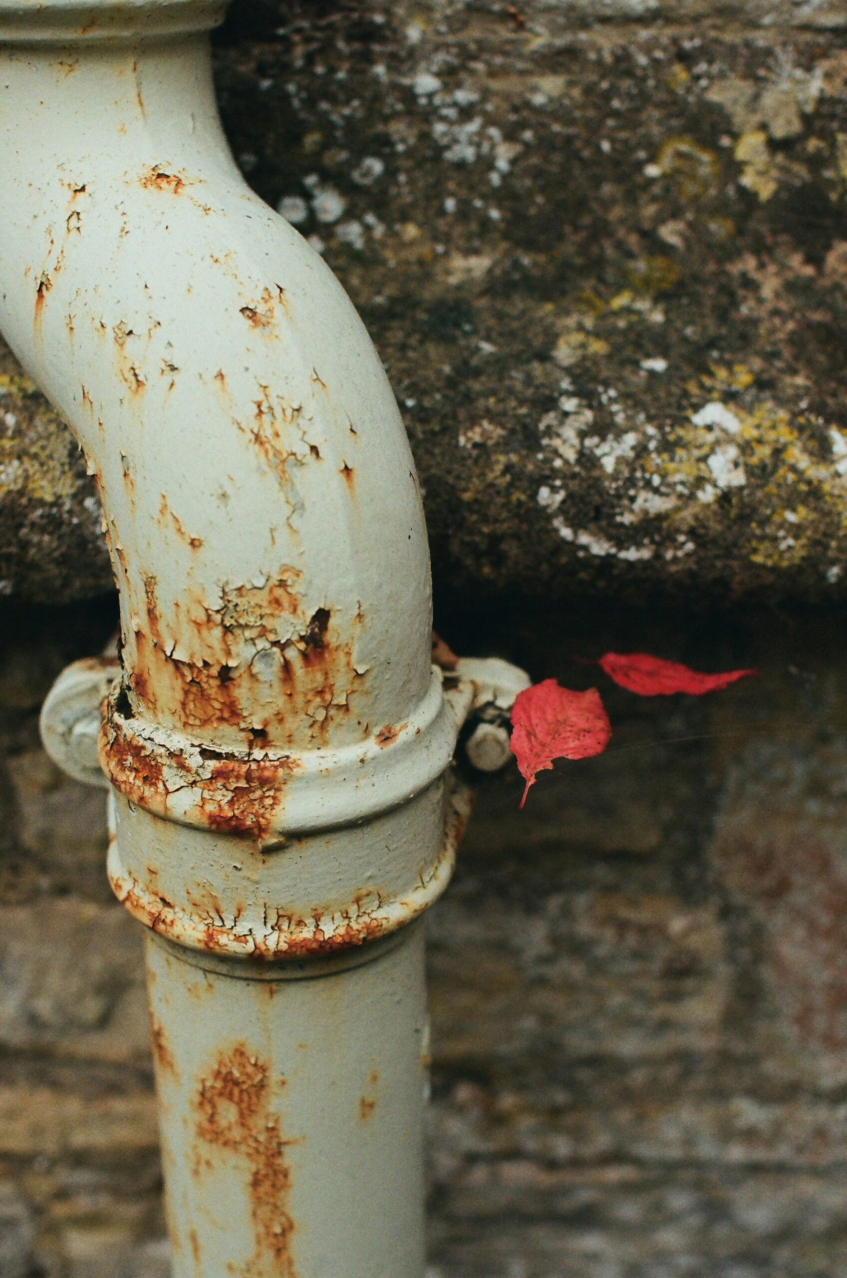 Gutter Cleaning Portland: Fall Prep Tips for Rainy Season Protection