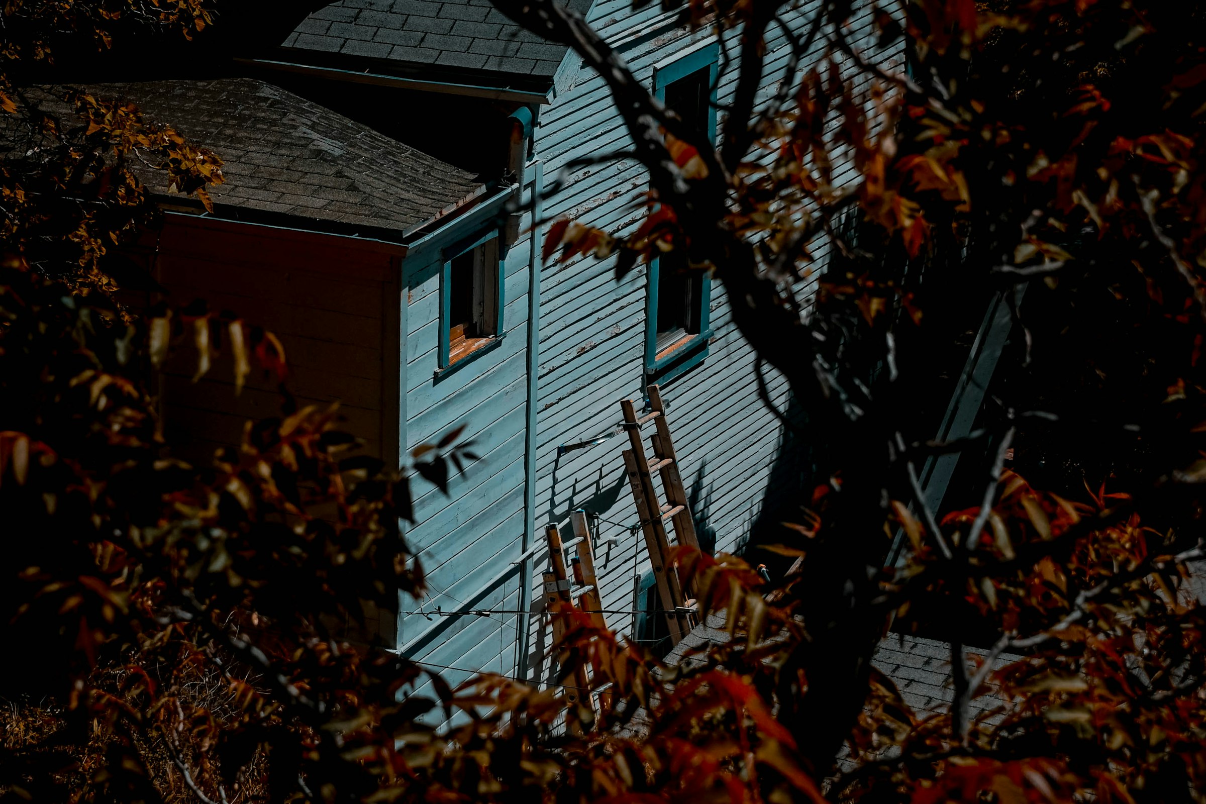 Dry Halloween Weekend, Then November’s Rain: Portland’s Gutter-Cleaning Window