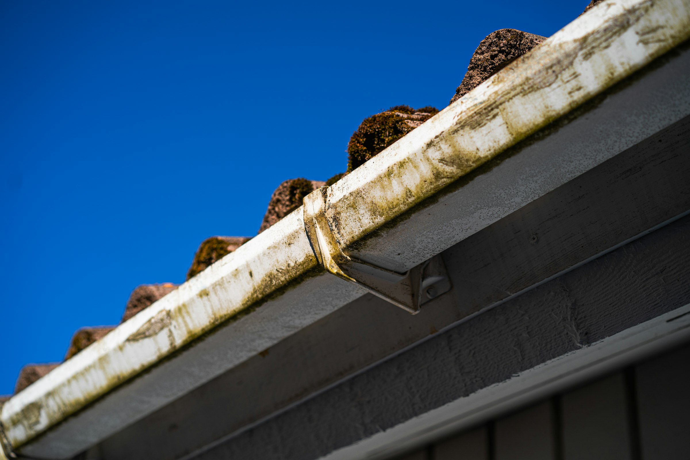 Gutter Cleaning Portland Oregon: Protecting Homes From Rain, Moss, and Debris