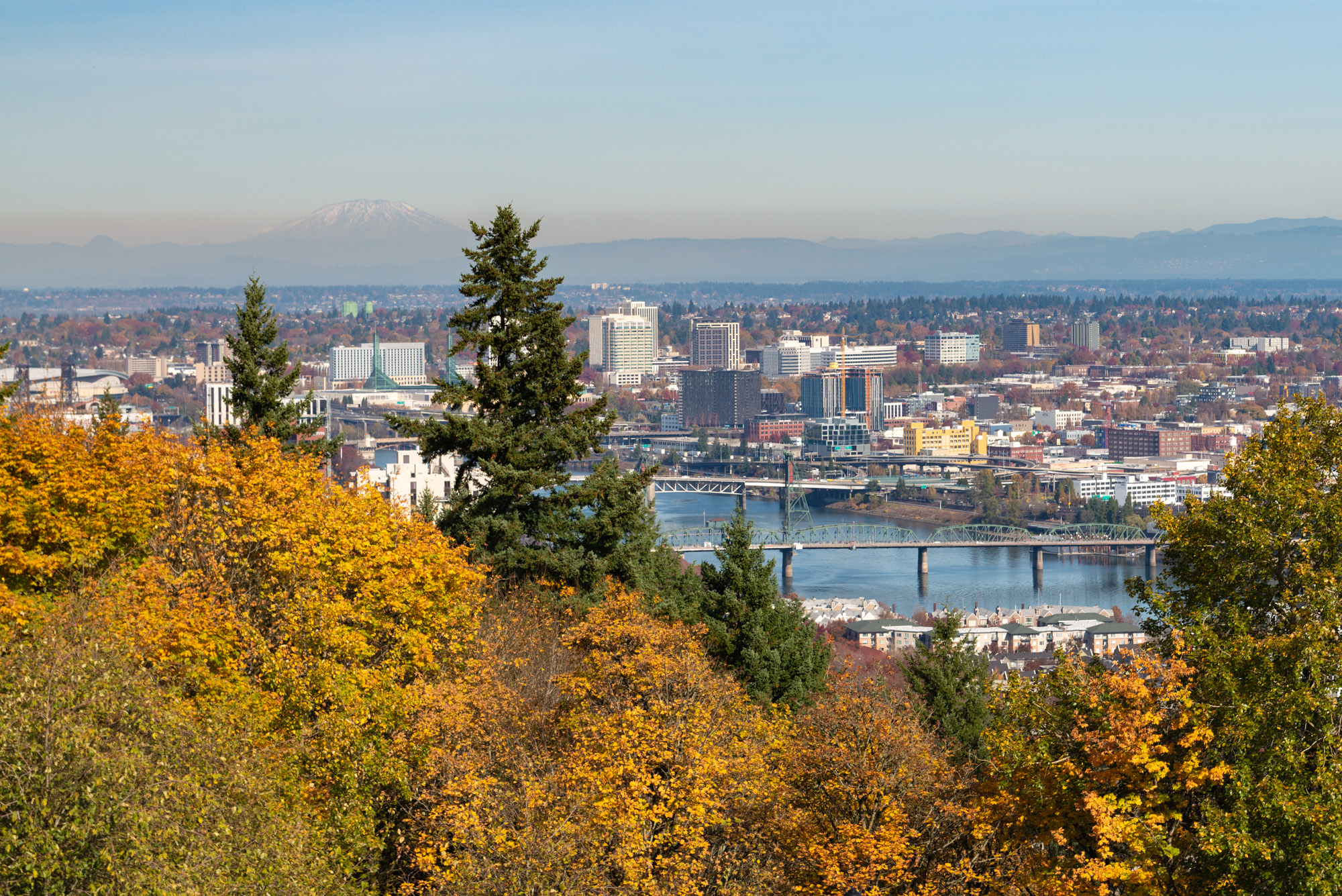 Portland Leaf Day 2026: Schedule, 29 Dropped Zones, and Your Gutters